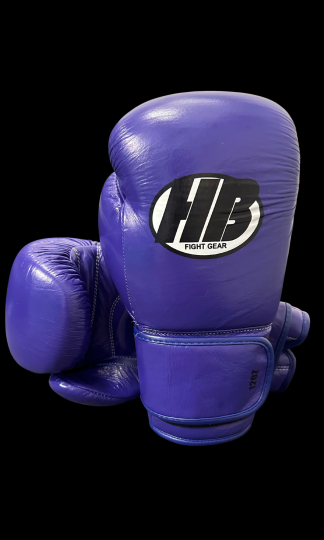 HB 27s - PURPLE