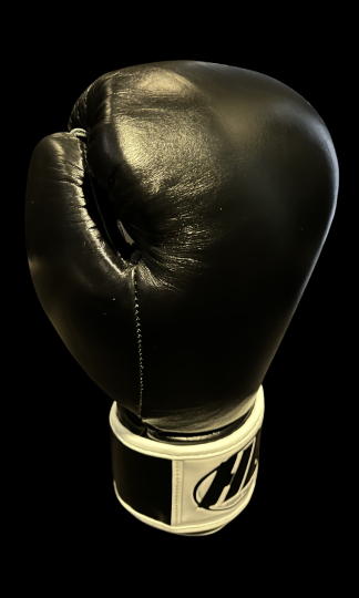 GLOVES 4 WEBSITE-2 GLOVES 4 WEBSITE-2