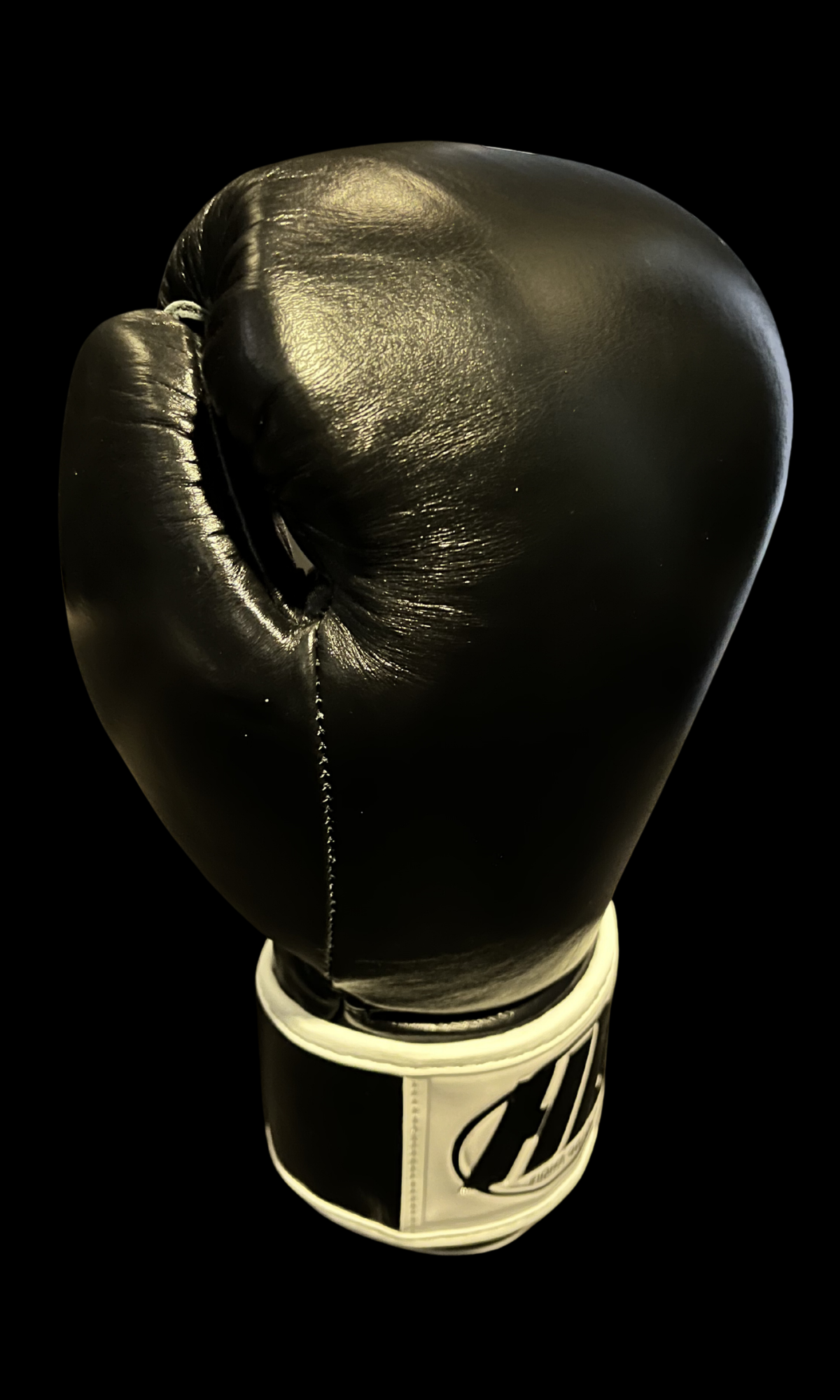 GLOVES 4 WEBSITE-2 GLOVES 4 WEBSITE-2